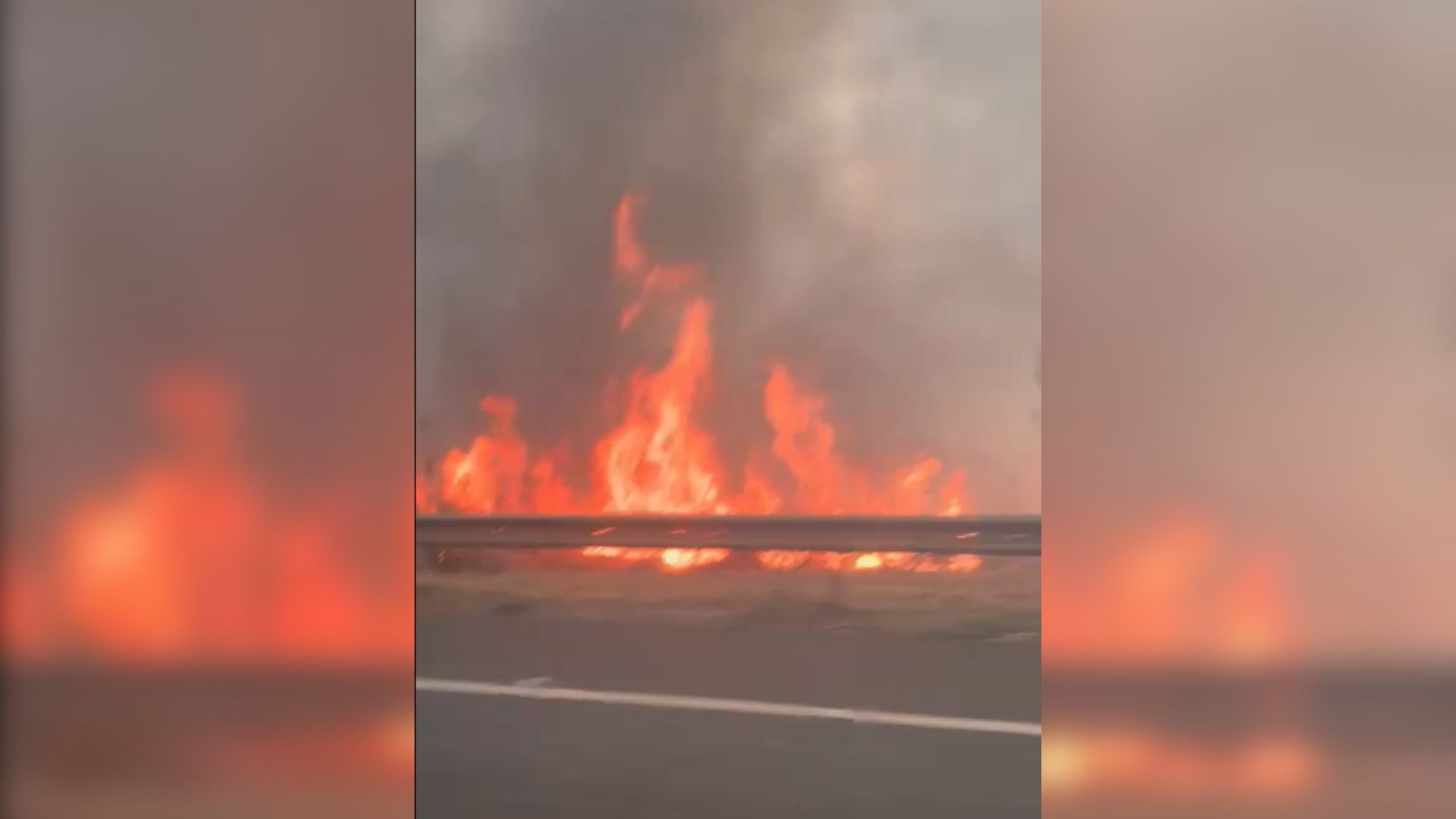 foto Not&iacute;cia Mirassol