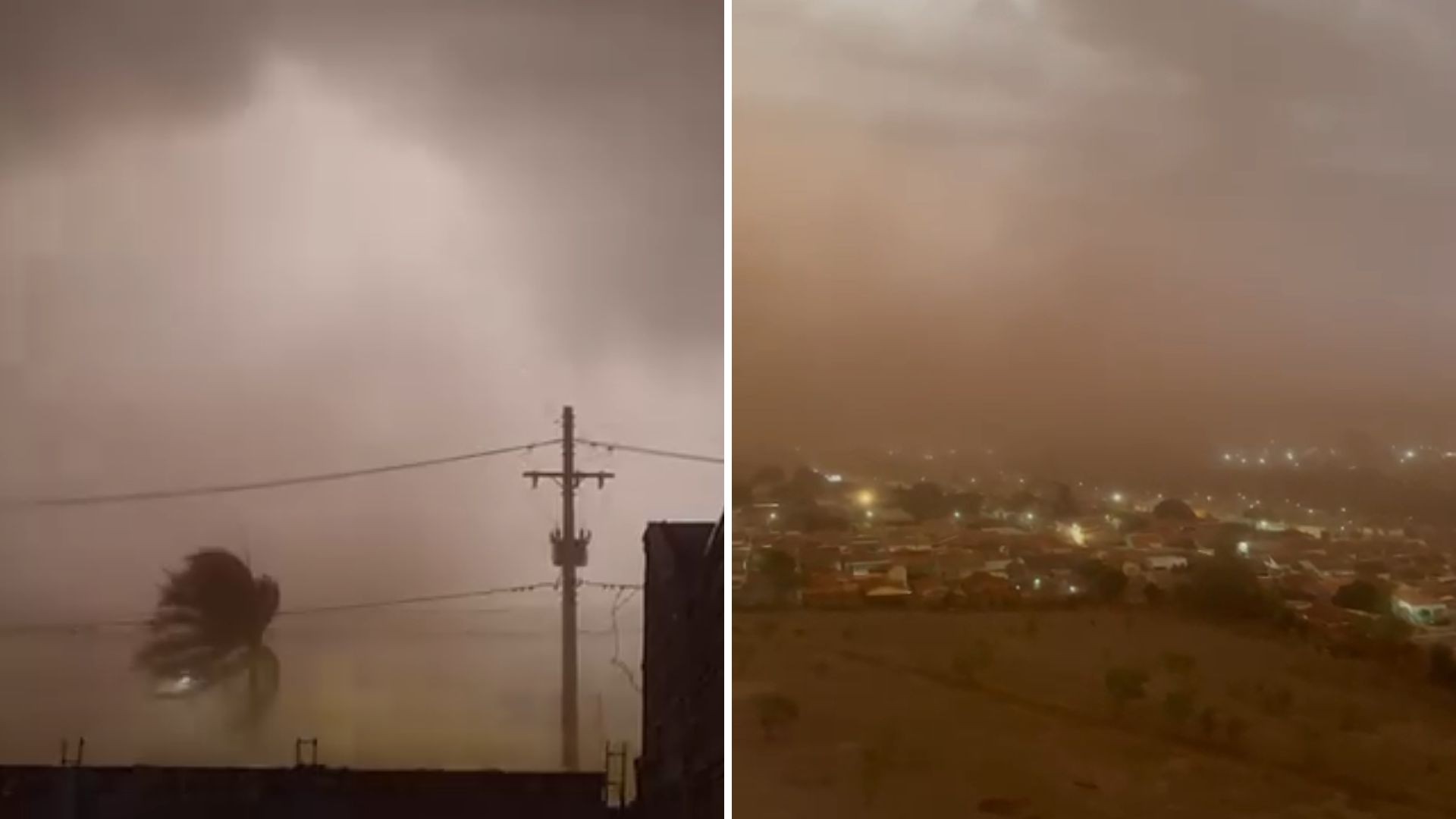 foto Not&iacute;cia Mirassol