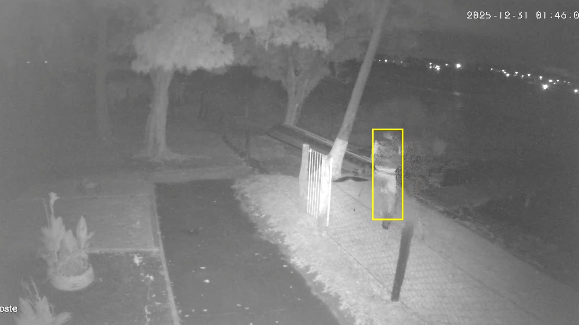 foto Not&iacute;cia Mirassol